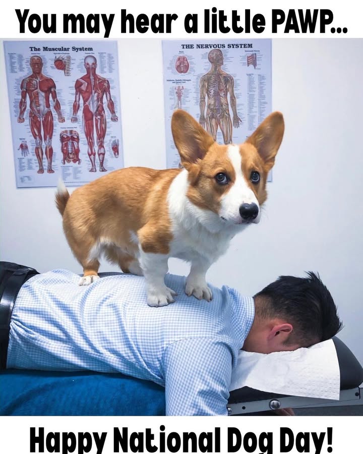 Jerviss Family Chiropractic