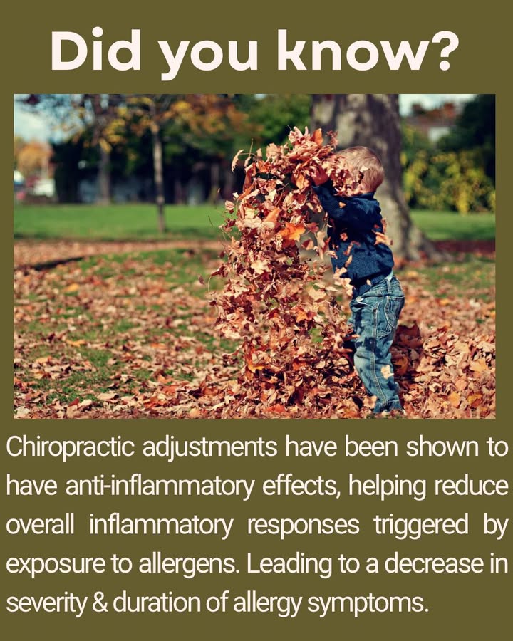 Jerviss Family Chiropractic